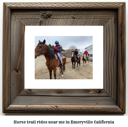 horse trail rides near me in Emeryville, California